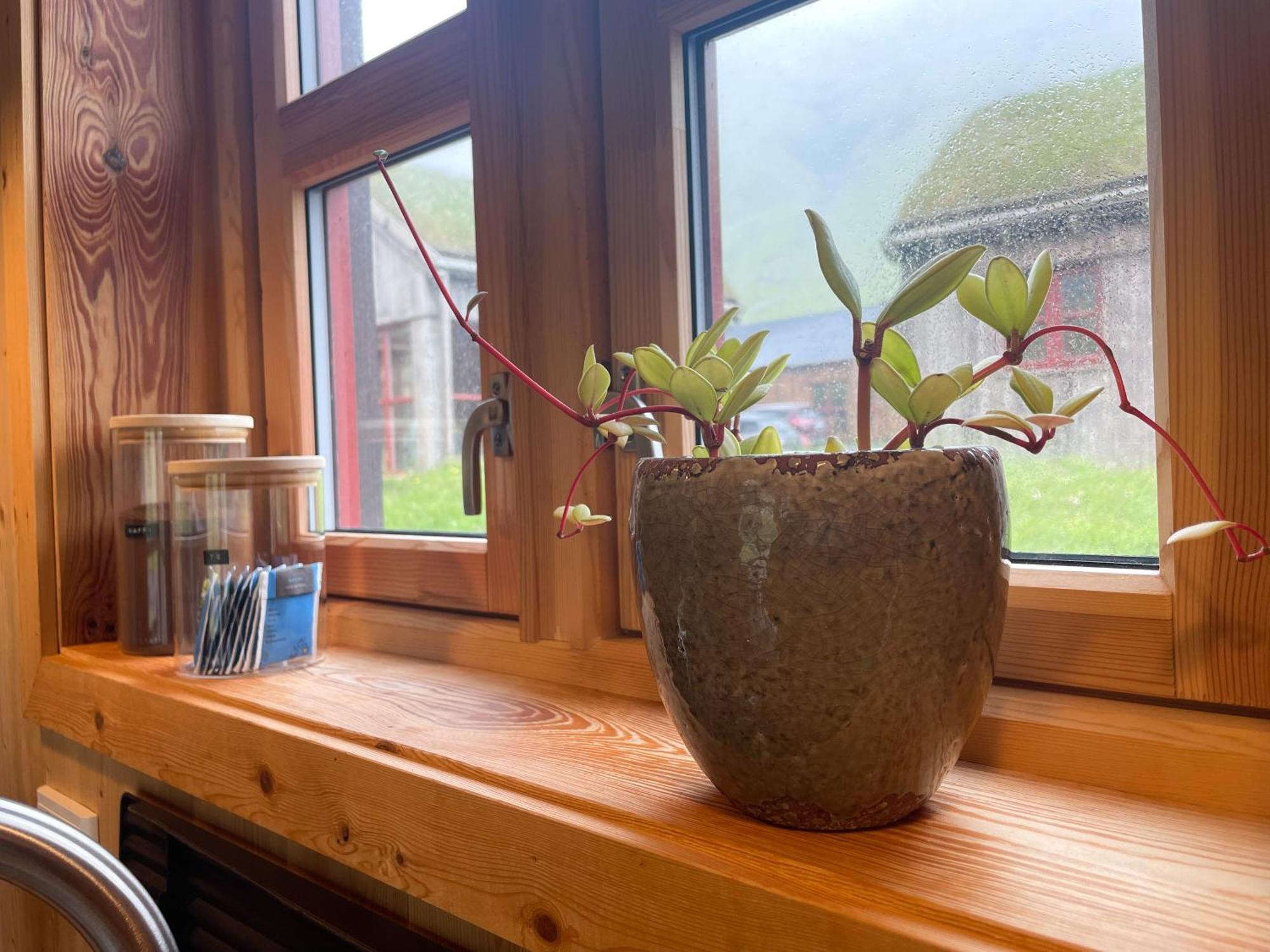 Mulafossur Cottages By Famous Waterfall In Gasadalur Eksteriør billede